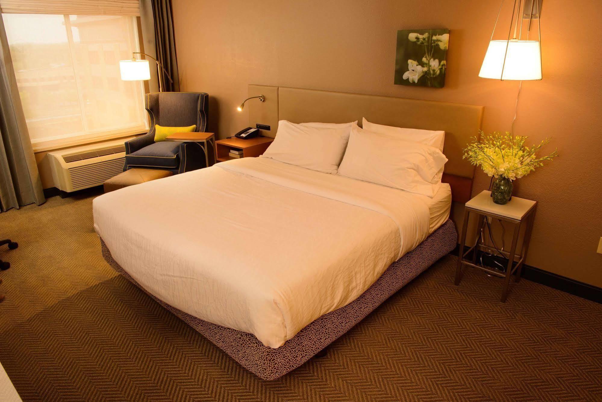 Hilton Garden Inn Rochester Downtown Экстерьер фото