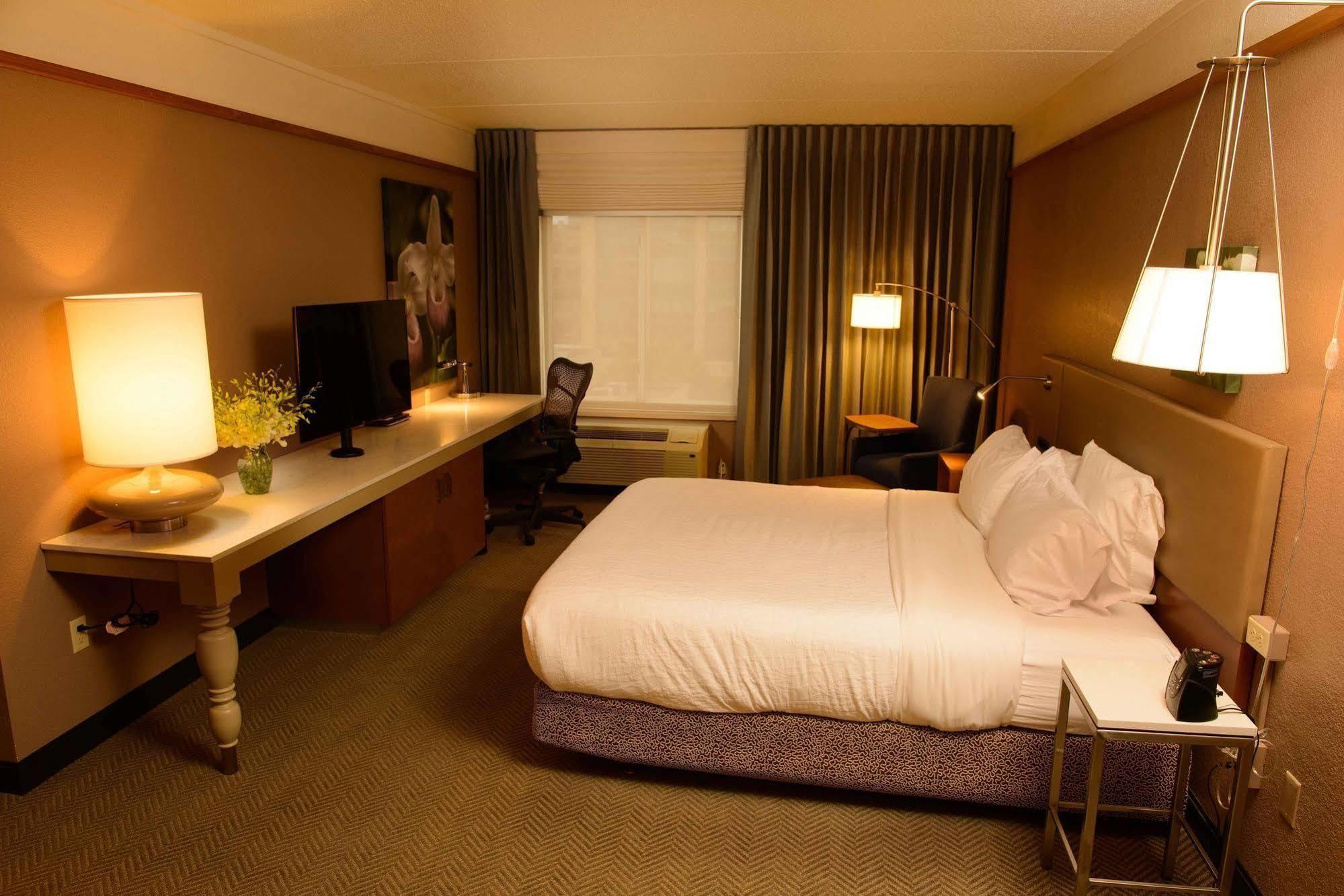 Hilton Garden Inn Rochester Downtown Экстерьер фото